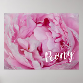 Peony Blommar Ro för blommor och trädgårdsälskare Poster