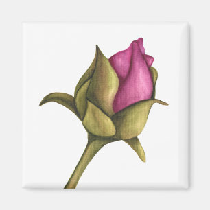 Peony-bud Magnet