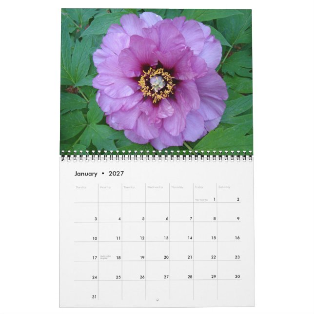 Peony Calendar 2010 Kalender (Jan 2027)