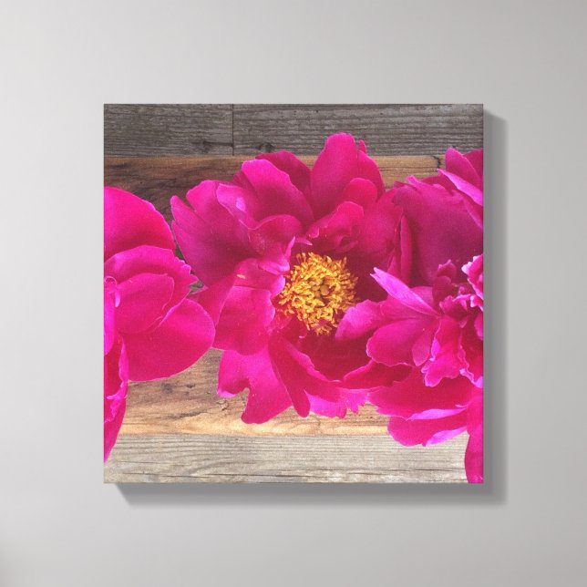 Peony canvas (Framsida)