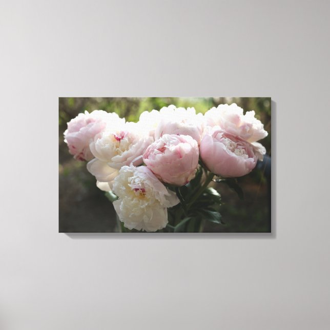 Peony Canvas Art (Framsida)
