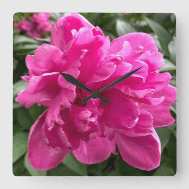 Peony Clock Fyrkantig Klocka (Framsida)