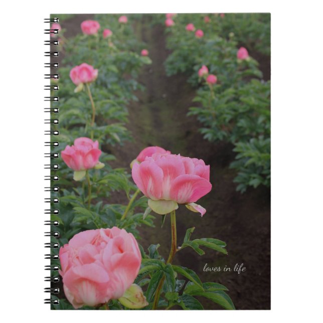 Peony Fält Anteckningsbok (Framsidan)