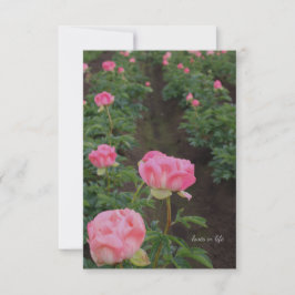 Peony Fält Anteckningskort