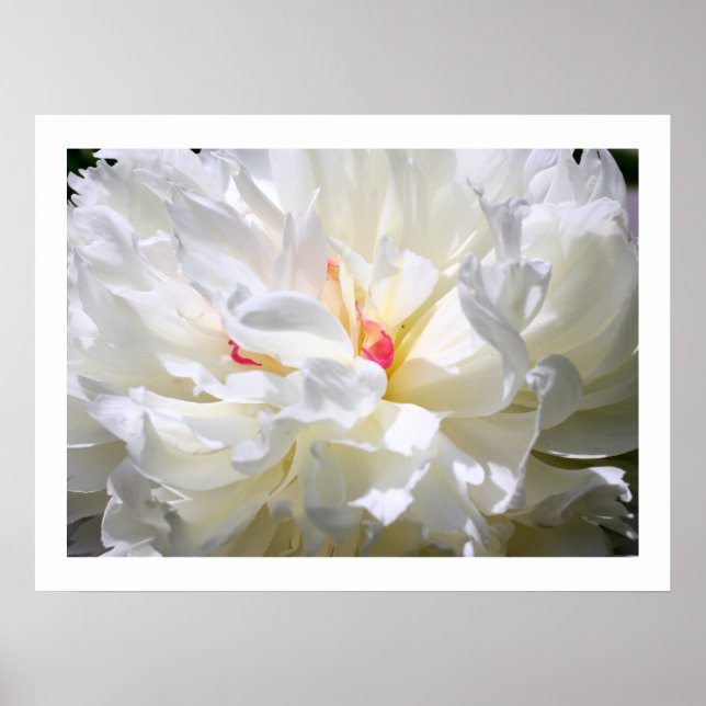 Peony Flame Print Poster (Framsidan)