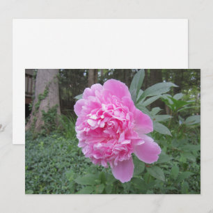 Peony Flat Semestervykort Julkort