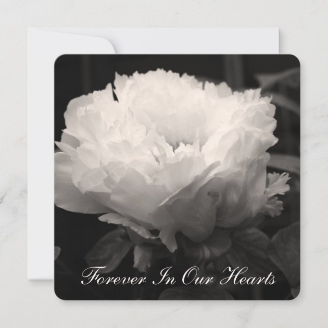 Peony Floral Photography 2 Begravningsannonsering Inbjudningar (Framsida)