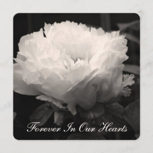 Peony Floral Photography 2 Begravningsannonsering Inbjudningar