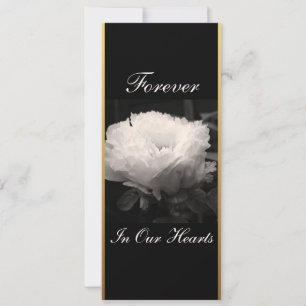 Peony Floral Photography 3 Funeral Announcement Inbjudningar