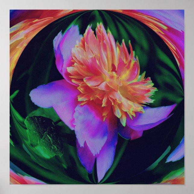 Peony Flower Energy Art Abstrakt Poster (Framsidan)