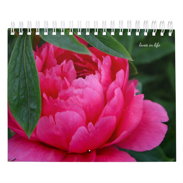 Peony Flower Kalender (Omslag)