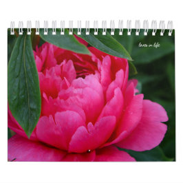 Peony Flower Kalender