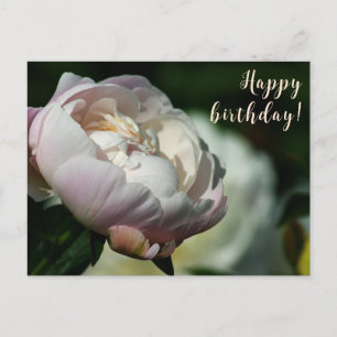 Peony/Flower Magic/White Flower/Grattis på födelse Helg Vykort