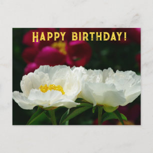 Peony/Flower Magic/White Flower/Grattis på födelse Helg Vykort