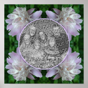 Peony Flower Nature Ram Skapa Ditt Eget Foto Poster