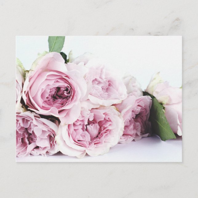 PEONY FLOWERS POSTCARD VYKORT (Framsida)
