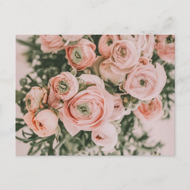 PEONY FLOWERS POSTCARD VYKORT (Framsida)