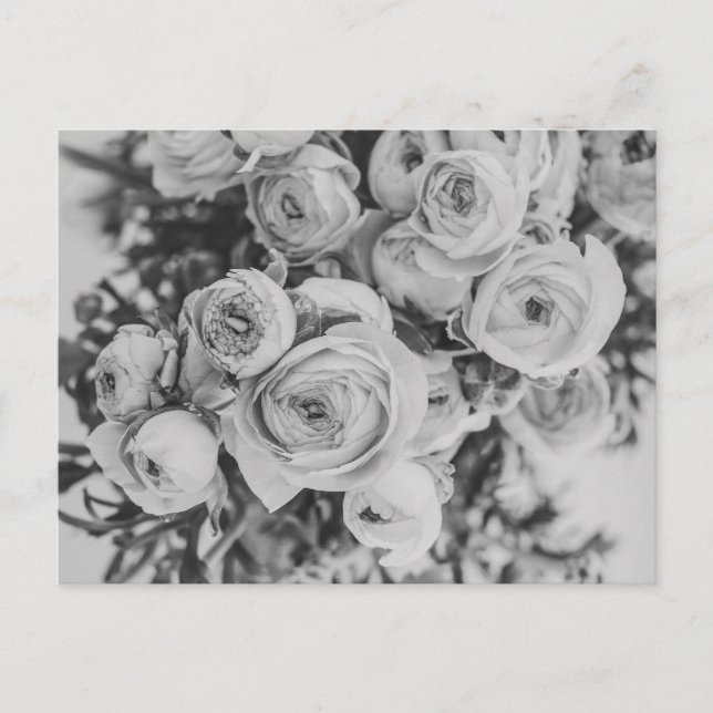 PEONY FLOWERS POSTCARD VYKORT (Framsida)