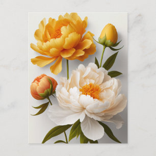 Peony Flowers vykort