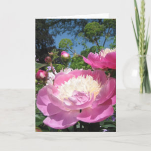 Peony-födelsedagskort Kort