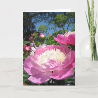 Peony-födelsedagskort Kort
