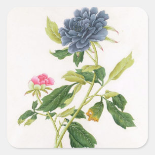 Peony Fyrkantigt Klistermärke