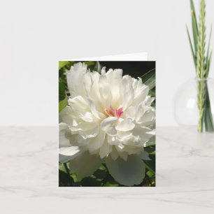 Peony Garden Kort