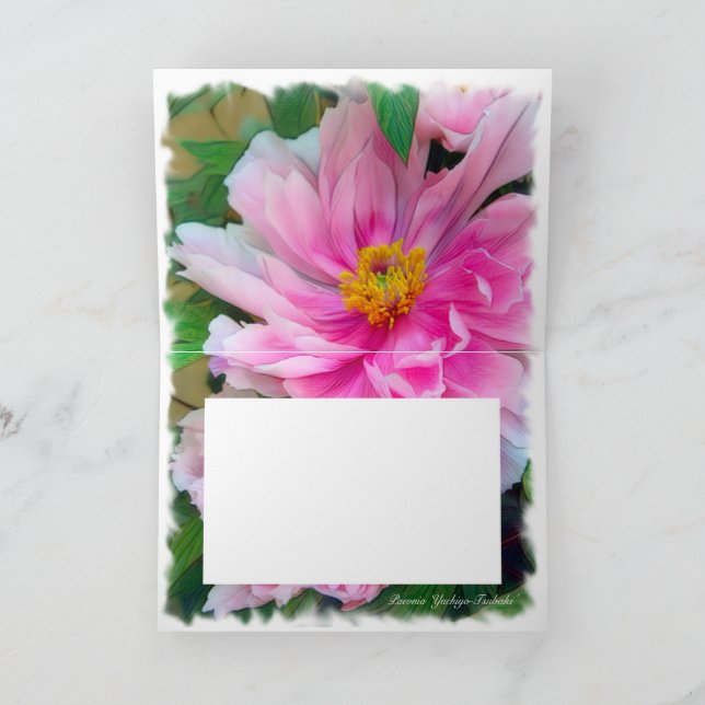 Peony [hälsningskort] カ ー kort (Inuti)