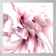 Peony i Macro med Digital Art Rosa