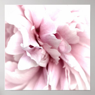 Peony i Makro med digital konsthälsa Poster