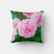 peony in Japanese garden