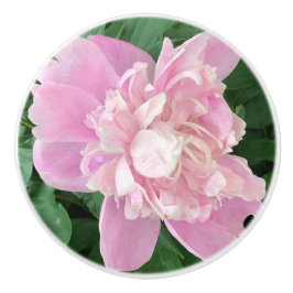 Peony Knob Knopp
