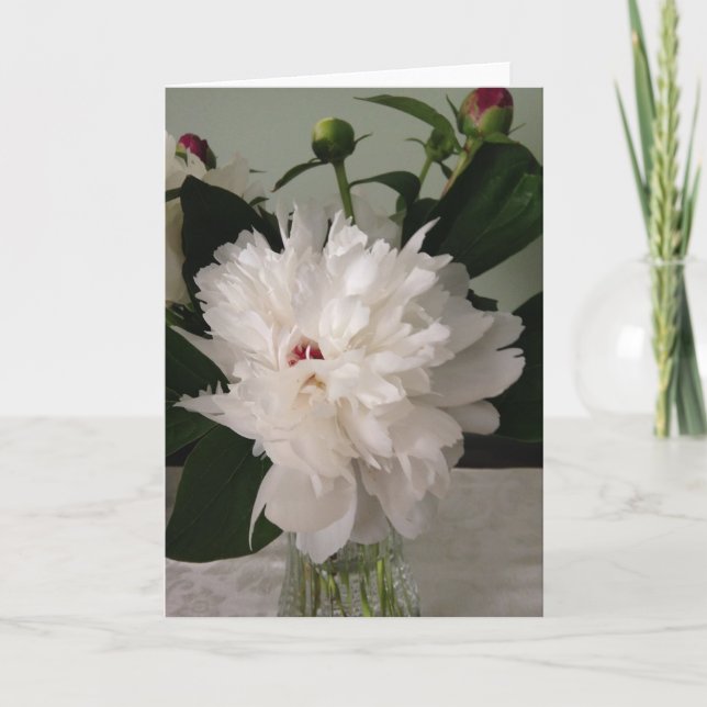 Peony, kort (Framsida)
