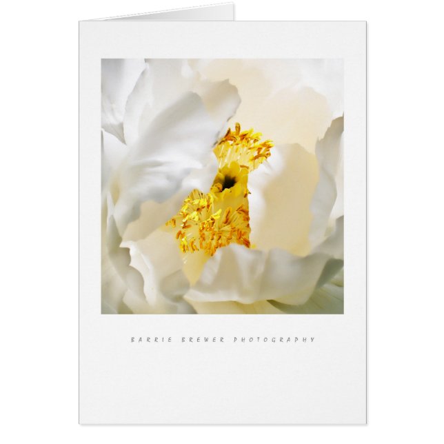 Peony-kort Hälsningskort (Framsidan)