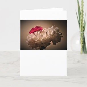 Peony-kort Kort