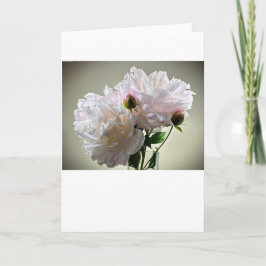 Peony-kort Kort