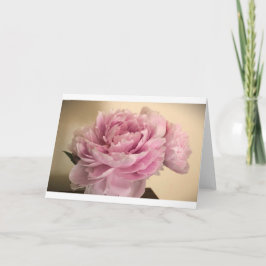 Peony-kort Kort