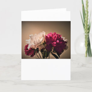 Peony-kort Kort
