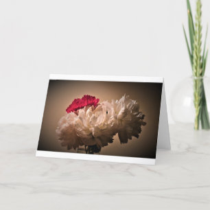 Peony-kort Kort