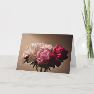 Peony-kort Kort