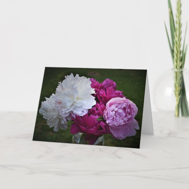 Peony-kort Kort (Framsida)