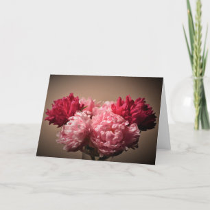 Peony-kort Kort