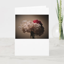 Peony-kort Kort