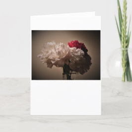 Peony-kort Kort