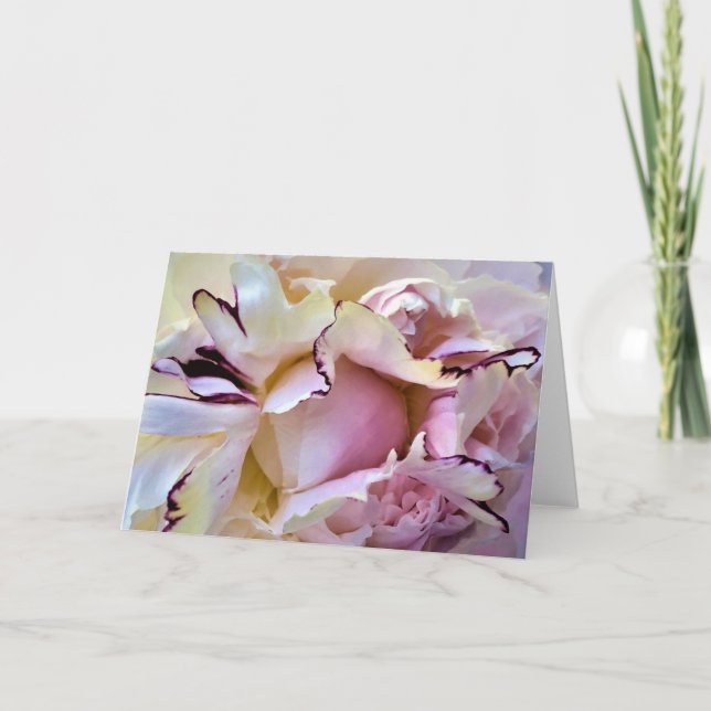 Peony-kort Kort (Framsida)