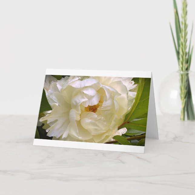 Peony-kort Kort (Framsida)