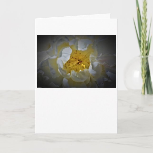 Peony-kort Kort (Framsida)