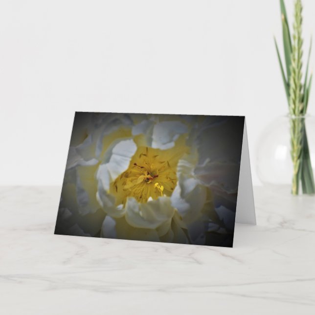 Peony-kort Kort (Framsida)