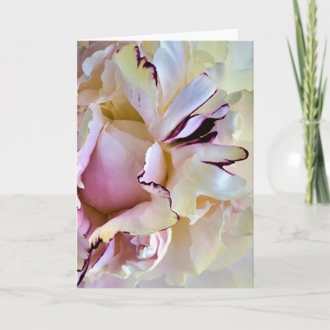 Peony-kort Kort (Framsida)