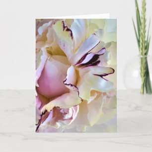 Peony-kort Kort